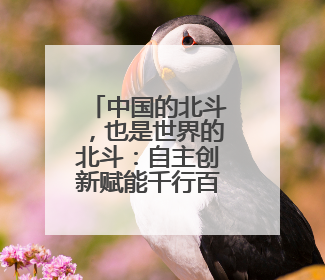 中国的北斗，也是世界的北斗：自主创新赋能千行百业
