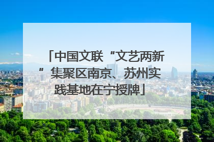 中国文联“文艺两新”集聚区南京、苏州实践基地在宁授牌