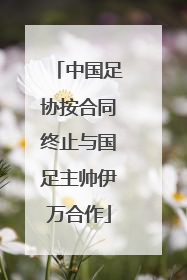 中国足协按合同终止与国足主帅伊万合作