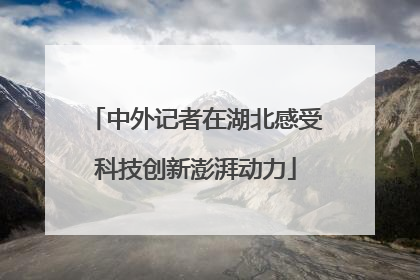 中外记者在湖北感受科技创新澎湃动力