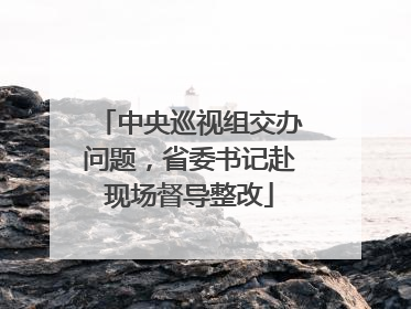 中央巡视组交办问题，省委书记赴现场督导整改