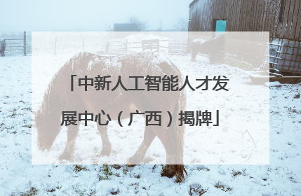 中新人工智能人才发展中心（广西）揭牌