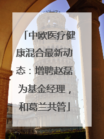 中欧医疗健康混合最新动态：增聘赵磊为基金经理，和葛兰共管