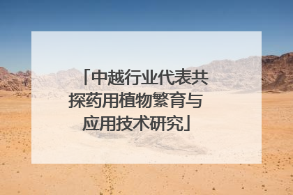 中越行业代表共探药用植物繁育与应用技术研究