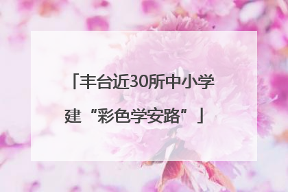 丰台近30所中小学建“彩色学安路”