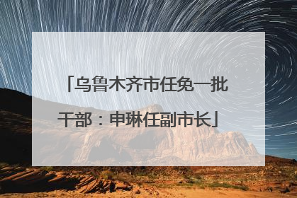 乌鲁木齐市任免一批干部：申琳任副市长