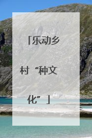 乐动乡村“种文化”