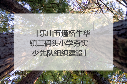 乐山五通桥牛华镇二码头小学夯实少先队组织建设
