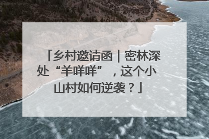 乡村邀请函｜密林深处“羊咩咩”，这个小山村如何逆袭？