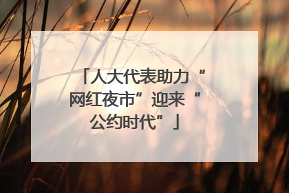 人大代表助力“网红夜市”迎来“公约时代”