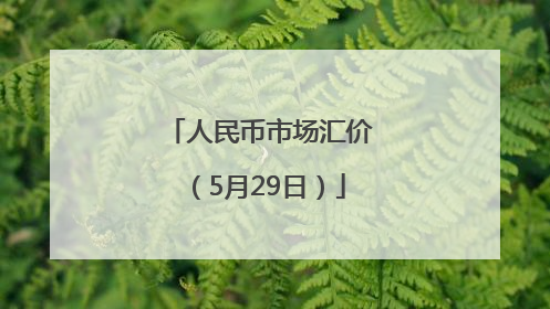 人民币市场汇价（5月29日）