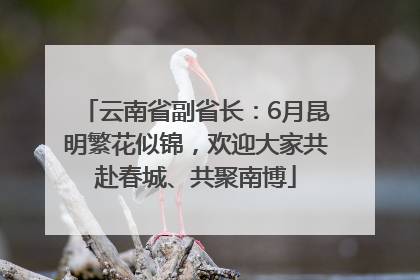 云南省副省长：6月昆明繁花似锦，欢迎大家共赴春城、共聚南博