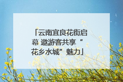 云南宜良花街启幕 邀游客共享“花乡水城”魅力
