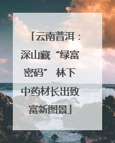 云南普洱：深山藏“绿富密码” 林下中药材长出致富新图景
