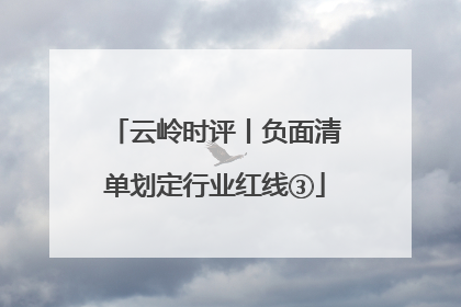 云岭时评丨负面清单划定行业红线③
