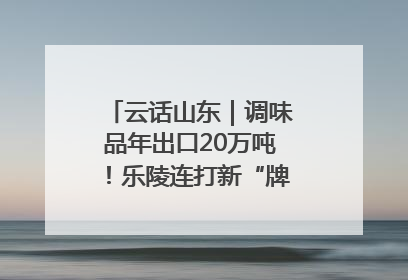 云话山东｜调味品年出口20万吨！乐陵连打新“牌”助力企业出海