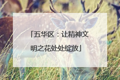 五华区：让精神文明之花处处绽放