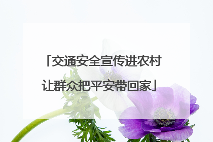 交通安全宣传进农村 让群众把平安带回家
