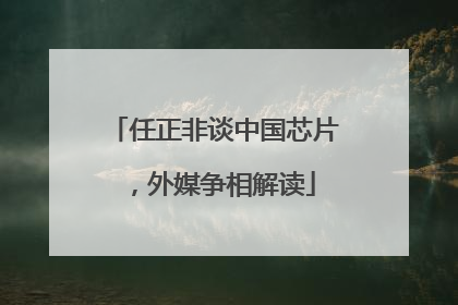 任正非谈中国芯片，外媒争相解读