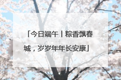 今日端午丨粽香飘春城，岁岁年年长安康