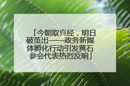 今朝取真经，明日破茧出——政务新媒体孵化行动引发黄石参会代表热烈反响