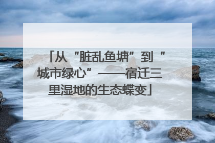 从“脏乱鱼塘”到“城市绿心”——宿迁三里湿地的生态蝶变