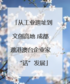 从工业遗址到文创高地 成都邀港澳台企业家“话”发展