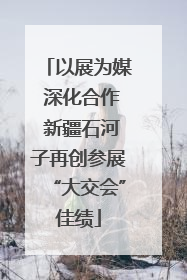 以展为媒 深化合作 新疆石河子再创参展“大交会”佳绩