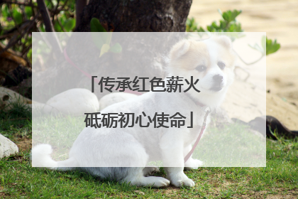 传承红色薪火 砥砺初心使命