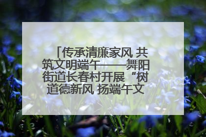 传承清廉家风 共筑文明端午——舞阳街道长春村开展“树道德新风 扬端午文化”主题活动