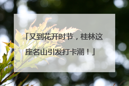 又到花开时节，桂林这座名山引发打卡潮！