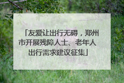 友爱让出行无碍，郑州市开展残障人士、老年人出行需求建议征集