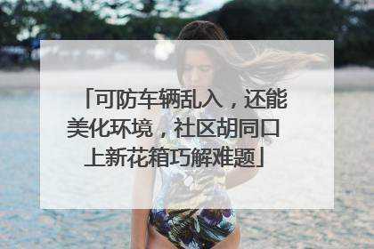 可防车辆乱入，还能美化环境，社区胡同口上新花箱巧解难题