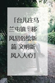 台儿庄马兰屯镇：移风易俗绘新篇 文明新风入人心