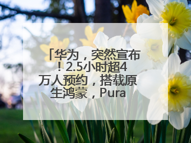 华为，突然宣布！2.5小时超4万人预约，搭载原生鸿蒙，Pura 80外观曝光