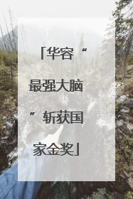 华容“最强大脑”斩获国家金奖