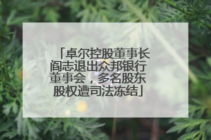 卓尔控股董事长阎志退出众邦银行董事会，多名股东股权遭司法冻结