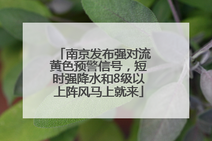 南京发布强对流黄色预警信号，短时强降水和8级以上阵风马上就来