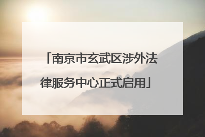 南京市玄武区涉外法律服务中心正式启用