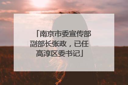 南京市委宣传部副部长张政，已任高淳区委书记