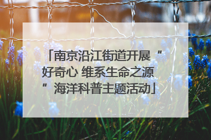 南京沿江街道开展“好奇心 维系生命之源”海洋科普主题活动