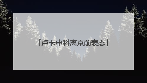卢卡申科离京前表态