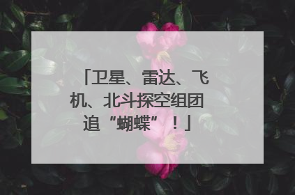 卫星、雷达、飞机、北斗探空组团追“蝴蝶”！