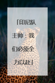 印尼队主帅：我们必须全力以赴