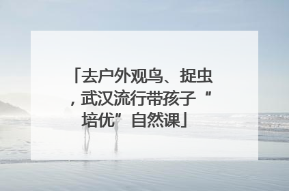 去户外观鸟、捉虫，武汉流行带孩子“培优”自然课