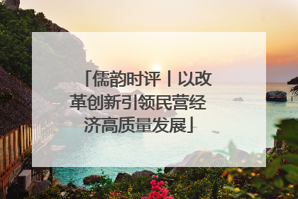 儒韵时评丨以改革创新引领民营经济高质量发展