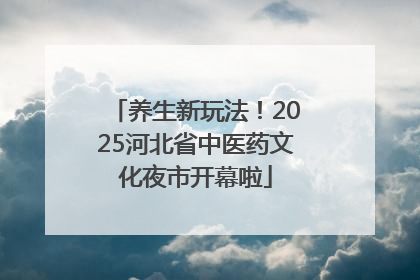 养生新玩法！2025河北省中医药文化夜市开幕啦