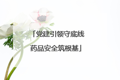 党建引领守底线 药品安全筑根基