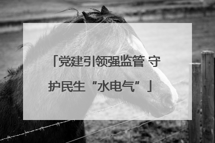 党建引领强监管 守护民生“水电气”