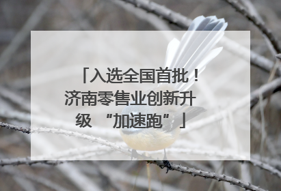 入选全国首批！济南零售业创新升级 “加速跑”